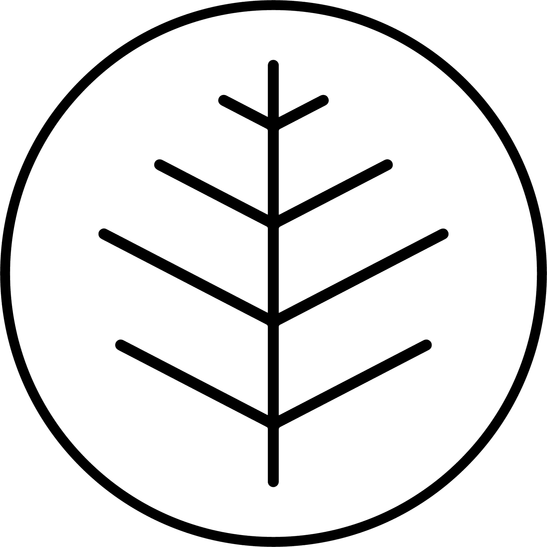 Kvítí z lesa